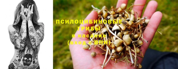 синтетический гашиш Алексин