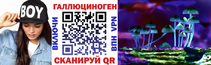 мега ссылка  что такое наркотик  Шелехов  Галлюциногенные грибы прущие грибы 